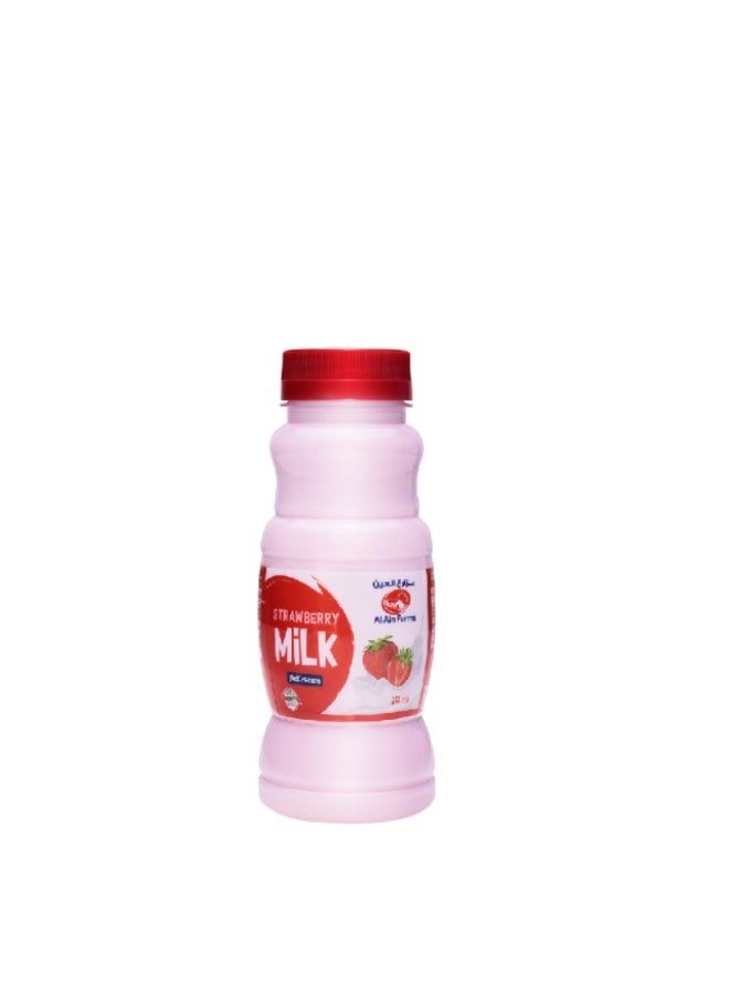 Strawberry Milk, 250ml, UAE