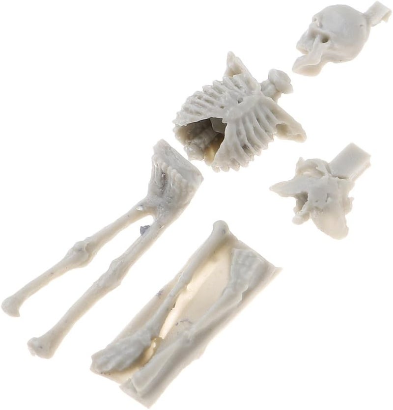 klarako 4x 1/35 Miniature skull modal Models for Sand Table Scenery Building Toy - Image 4