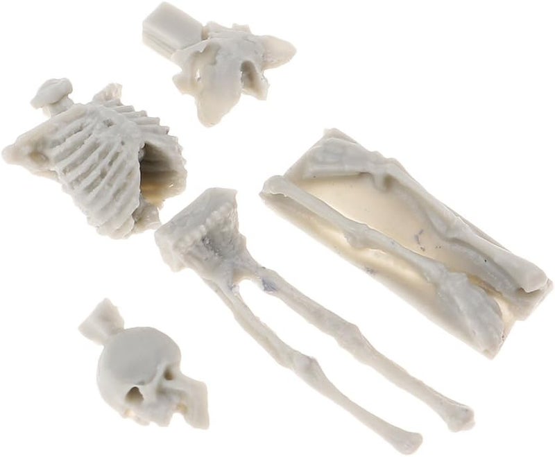 klarako 4x 1/35 Miniature skull modal Models for Sand Table Scenery Building Toy - Image 1