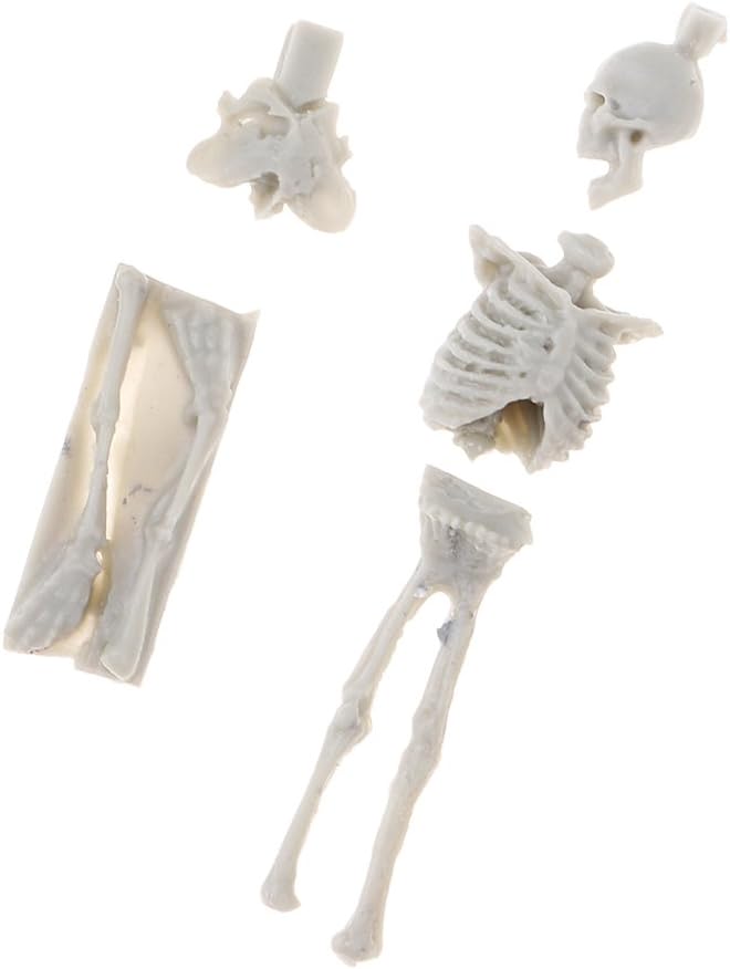 klarako 4x 1/35 Miniature skull modal Models for Sand Table Scenery Building Toy - Image 5