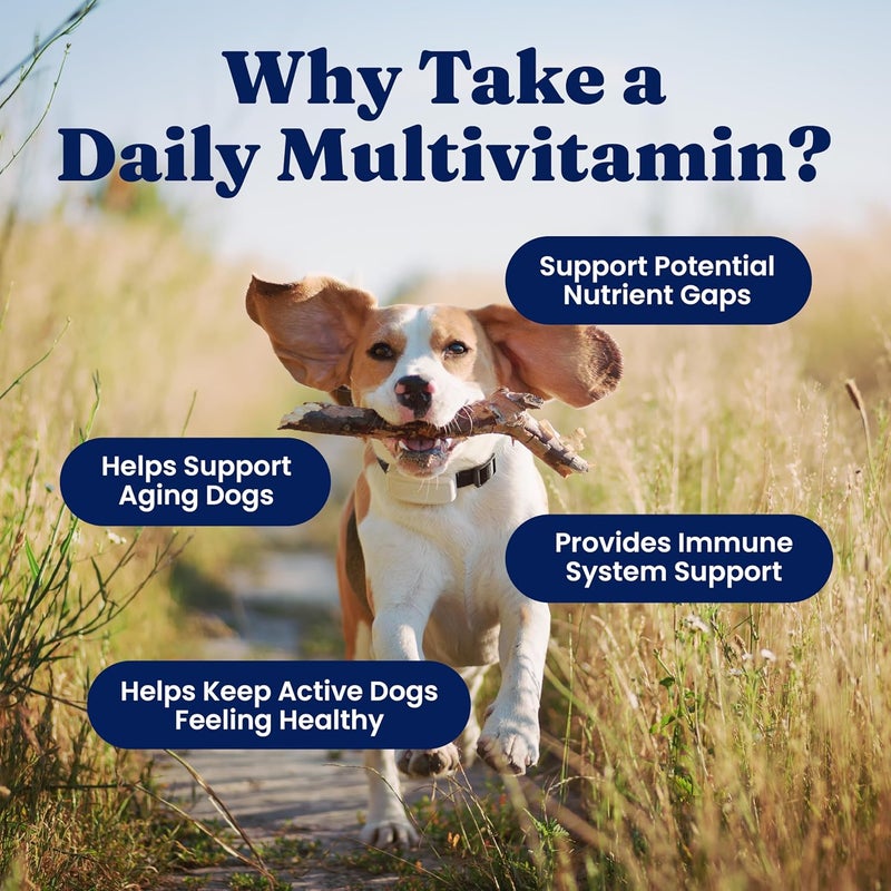 Solid Gold Dog Multivitamin - Soft Dog Vitamins & Supplements Chews - All-in-One Heart, Immune, Brain, Skin, Coat & Gut Health Support w/Vitamin C, B12, Probiotics & Antioxidants - Bacon Flavor 120ct - Image 3