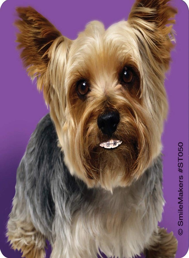 SmileMakers Dogs with Braces Dental Stickers - Prizes and Giveaways - 100 per Pack - Image 3
