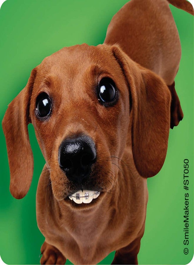 SmileMakers Dogs with Braces Dental Stickers - Prizes and Giveaways - 100 per Pack - Image 5