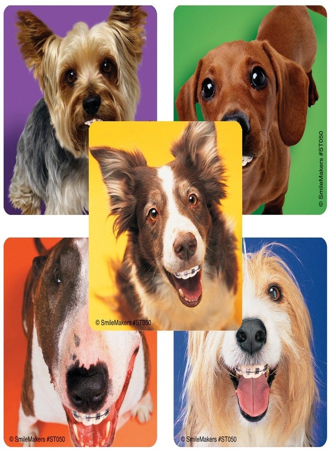 SmileMakers Dogs with Braces Dental Stickers - Prizes and Giveaways - 100 per Pack - Image 1