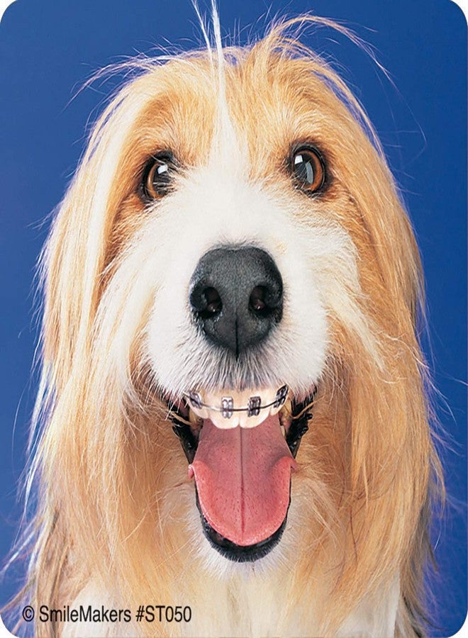 SmileMakers Dogs with Braces Dental Stickers - Prizes and Giveaways - 100 per Pack - Image 2