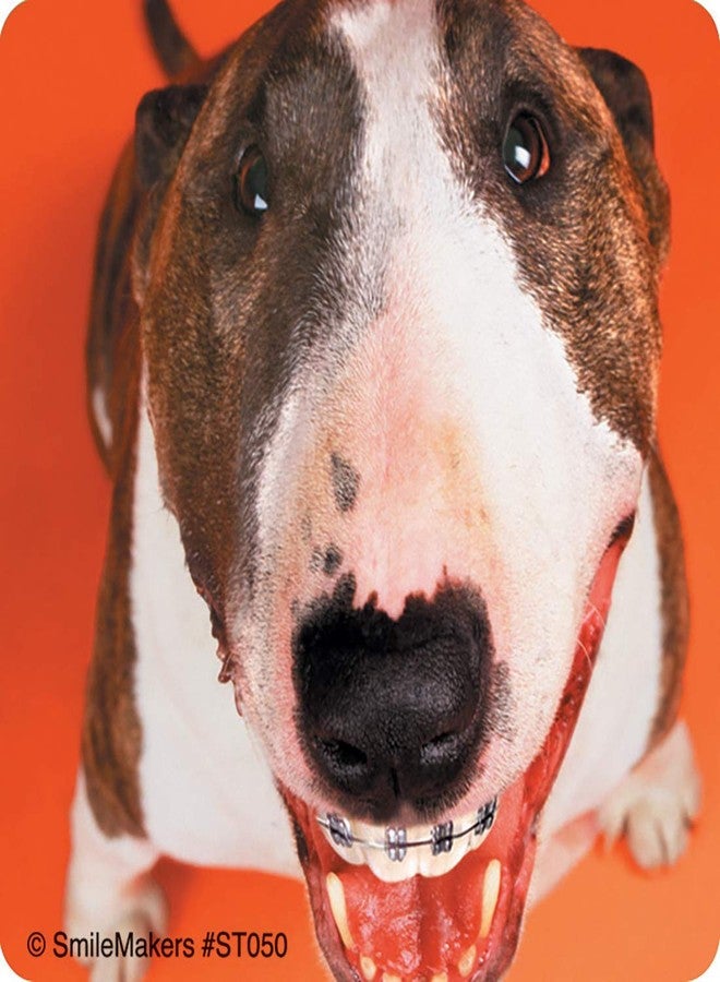 SmileMakers Dogs with Braces Dental Stickers - Prizes and Giveaways - 100 per Pack - Image 4