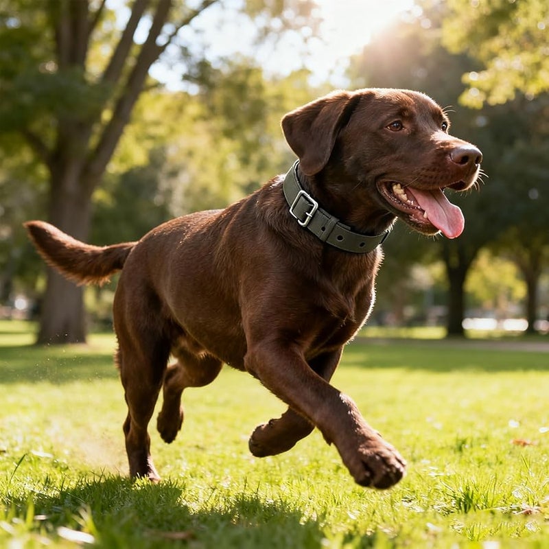 Black Nylon Dog Collar Adjustable 36 48cm Strong Traction for Daily Walks Training - Image 3