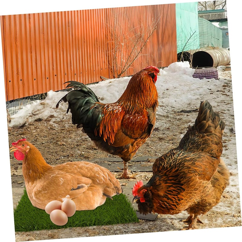 Multiple sizes Mikikit 3Pcs Washable Chicken Nesting Liners Reusable Artificial Turf Pads for Chicken Coop Nest Box Mat Soft Surface for Egg Protection Easy to Clean Longevity upgraded craftsmanship All space matching look Lightweight Trusted all-purpose quality Assorted trendy color picks Ergonomic build Indoor outdoor use Scheduled warehouse deliver Integrated warehouse solution Custom sizing alternatives Local available supply Individual & group usable Gulf approved global quality Tiered purchase options Mountain region eligible ship User feedback upgraded quality Heat insulation layer N/S/C nationwide deliver Multiple local stock source Simple practical structure Multi-source stock guarantee Medium weight Globally engineered build Precision processed material - Image 4