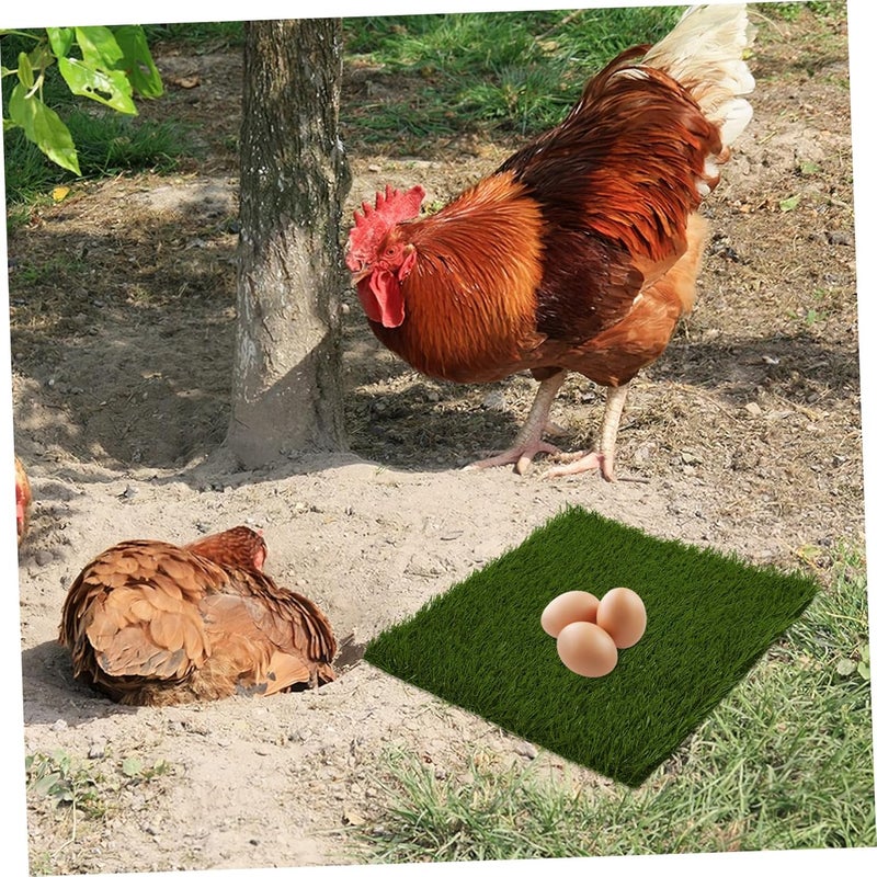 Multiple sizes Mikikit 3Pcs Washable Chicken Nesting Liners Reusable Artificial Turf Pads for Chicken Coop Nest Box Mat Soft Surface for Egg Protection Easy to Clean Longevity upgraded craftsmanship All space matching look Lightweight Trusted all-purpose quality Assorted trendy color picks Ergonomic build Indoor outdoor use Scheduled warehouse deliver Integrated warehouse solution Custom sizing alternatives Local available supply Individual & group usable Gulf approved global quality Tiered purchase options Mountain region eligible ship User feedback upgraded quality Heat insulation layer N/S/C nationwide deliver Multiple local stock source Simple practical structure Multi-source stock guarantee Medium weight Globally engineered build Precision processed material - Image 5