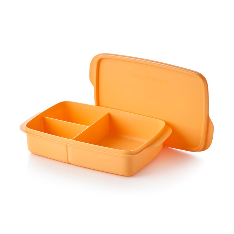 Tupperware LunchIt Portion Go Lunch Box Food Storage Container Dishwasher Safe and BPA Free 4 Cups1L