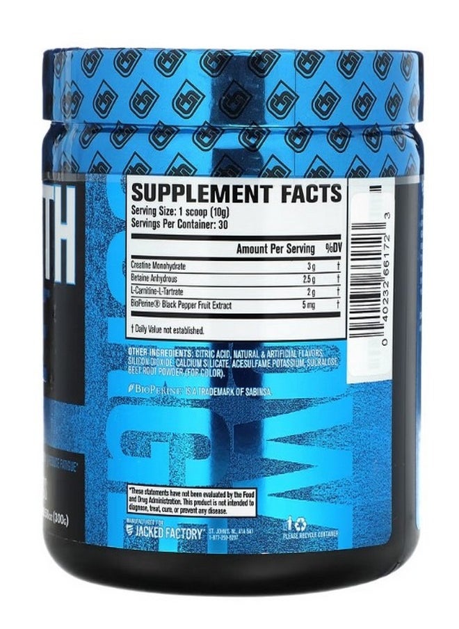 Jacked Factory - Growth Surge Post Workout Swoleberry 10.58 oz 300 g - Image 1