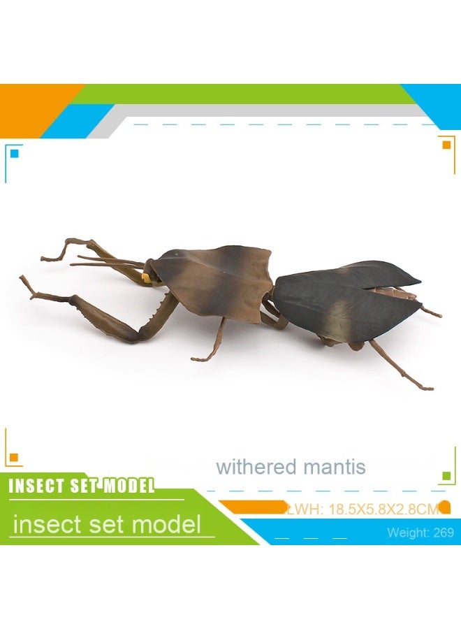 نيبمينينت نموذج حشرة زائفة - تمثال زينة لمشاكس من نوع ستيفنسون