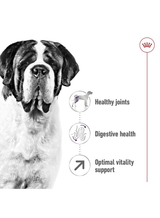 رويال كانين حجم التغذية الصحية العملاق للبالغين 15 كجم - Image 2