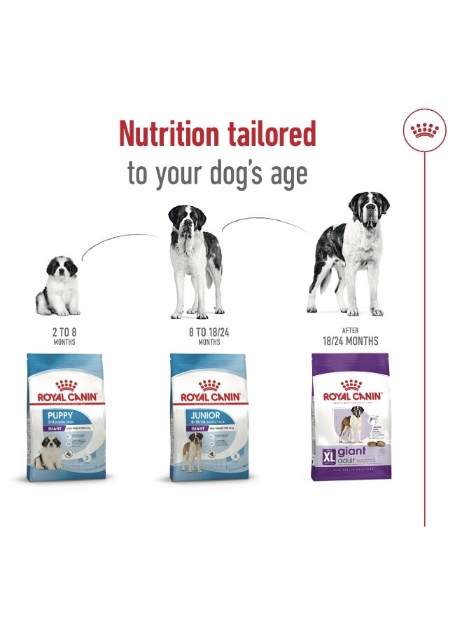 رويال كانين حجم التغذية الصحية العملاق للبالغين 15 كجم - Image 3