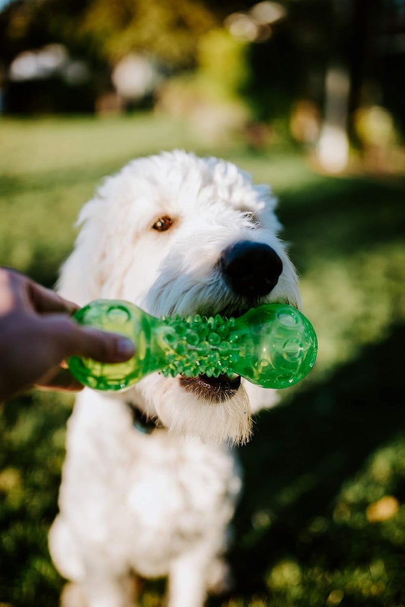 Hyper Pet Home & professional compatible Hyper Pet Dura-Squeaks Barbell Interactive Fetch Dog Toy with Squeaker Made with sturdy TPR that Floats in Water Shock rubber edge - Image 1