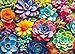 Moruska Succulent Puzzle 1000 Pieces for Adults Gradient Colorful Succulent Plant Jigsaw Puzzle Beautiful Wall Decor Puzzle - Image 2