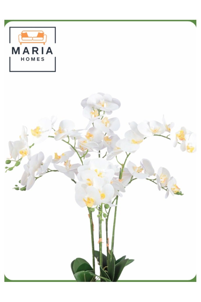 Maria Artificial Orchid Flower Tree 75 cm – Elegant Indoor Decor with White Pot  - Image 2