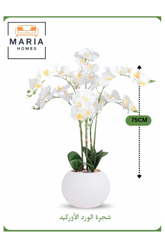 Maria Artificial Orchid Flower Tree 75 cm – Elegant Indoor Decor with White Pot  - Image 1