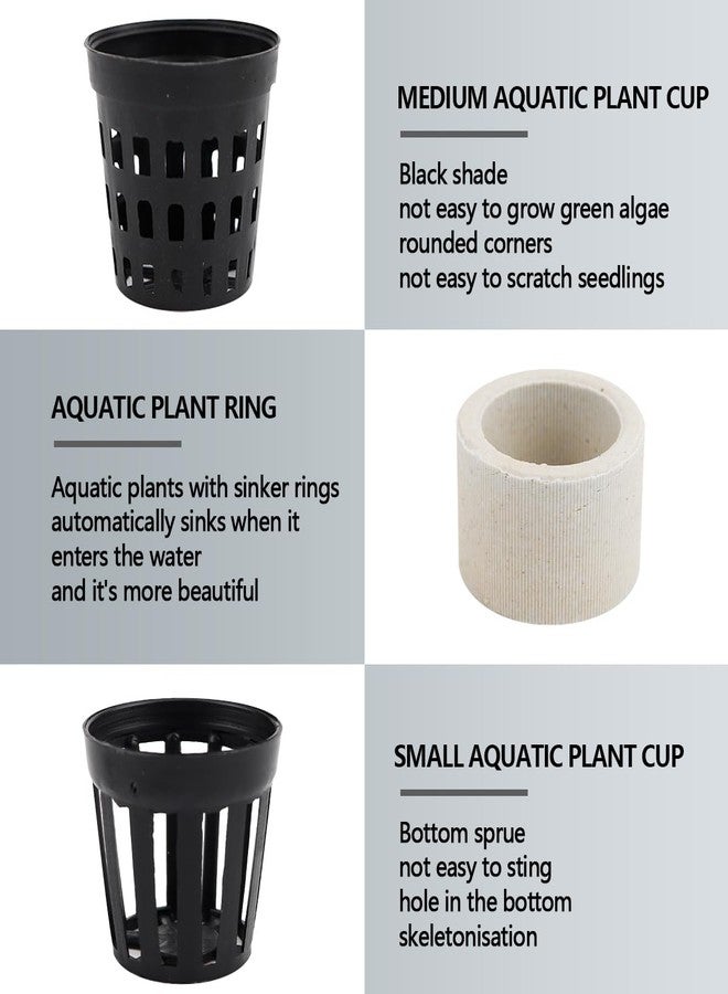 YOLUFER Aquatic Plants Fixed Rings Set Aquarium Plant Weights Pot Aquarium Accessories (30) - Image 3