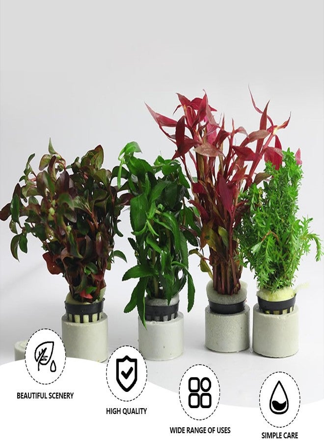 YOLUFER Aquatic Plants Fixed Rings Set Aquarium Plant Weights Pot Aquarium Accessories (30) - Image 4