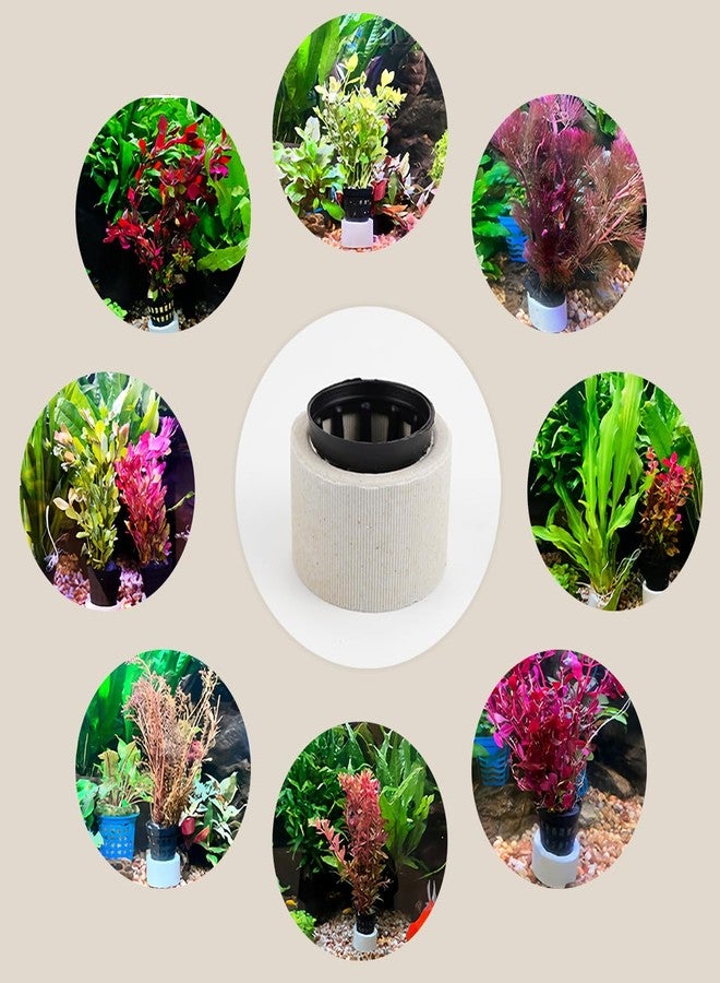 YOLUFER Aquatic Plants Fixed Rings Set Aquarium Plant Weights Pot Aquarium Accessories (30) - Image 5