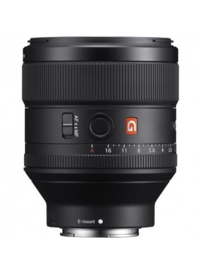 Sony FE 85mm f/1.4 GM Lens Black - Image 4