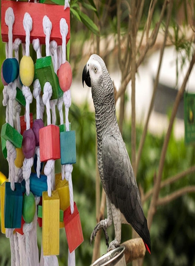 TANOMA Extra Large Parrot Bird Toys for Macaws, Amazon Parrots, African Grey- Birds Cage Accessories - Image 5