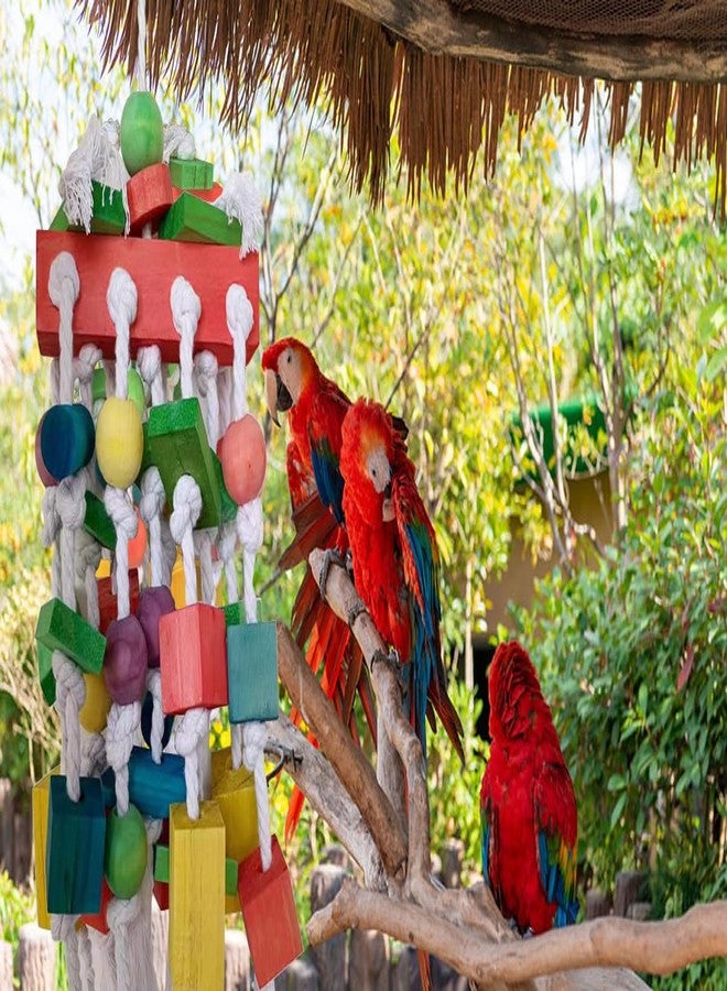 TANOMA Extra Large Parrot Bird Toys for Macaws, Amazon Parrots, African Grey- Birds Cage Accessories - Image 2