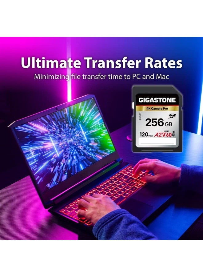 Gigastone 256GB 2-Pack SD Card, 4K Camera Pro, A2 V60 SDXC Memory Card High Speed 4K Ultra HD UHD Video Compatible with Canon Nikon Sony Pentax Kodak Olympus Panasonic Digital Camera - Image 4