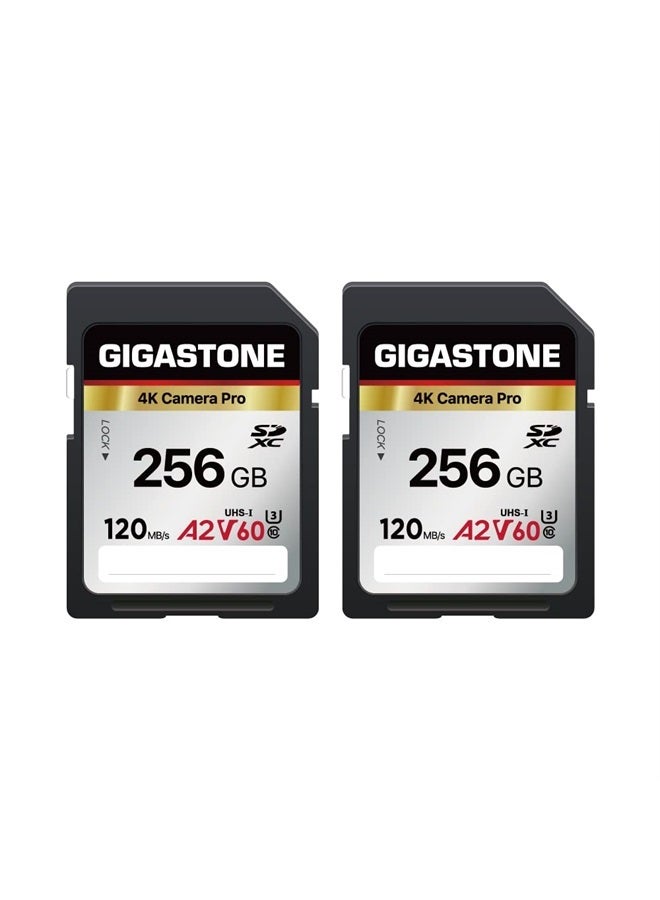 Gigastone 256GB 2-Pack SD Card, 4K Camera Pro, A2 V60 SDXC Memory Card High Speed 4K Ultra HD UHD Video Compatible with Canon Nikon Sony Pentax Kodak Olympus Panasonic Digital Camera - Image 1