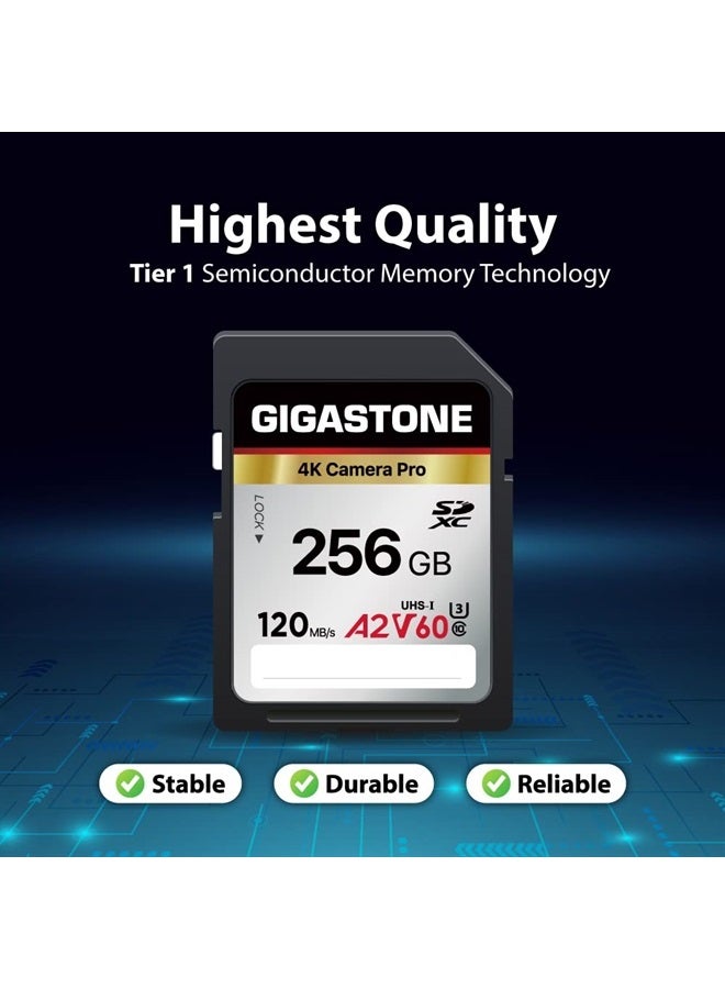 Gigastone 256GB 2-Pack SD Card, 4K Camera Pro, A2 V60 SDXC Memory Card High Speed 4K Ultra HD UHD Video Compatible with Canon Nikon Sony Pentax Kodak Olympus Panasonic Digital Camera - Image 5