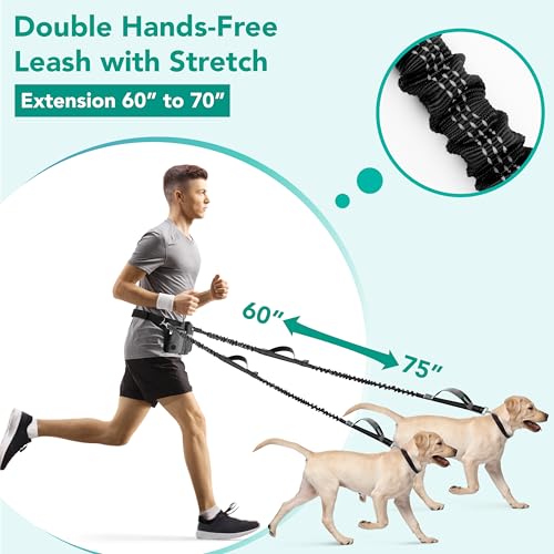 PetAmi Premium Hands Free Dog Leash for 2 Dogs Adjustable Waist Belt Leash for Dog Walking Fanny Pack Accessories Bag Dual Bungee Leash for Running Hiking Jogging Biking Charcoal Grey - Image 3