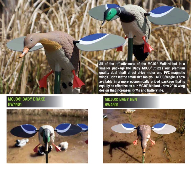 MOJO Outdoors موهو في الهواء الطلق موهو بيبي مالارد دمية البط ذات الأجنحة الدوارة، معدات وإكسسوارات صيد البط، ذكر - Image 5