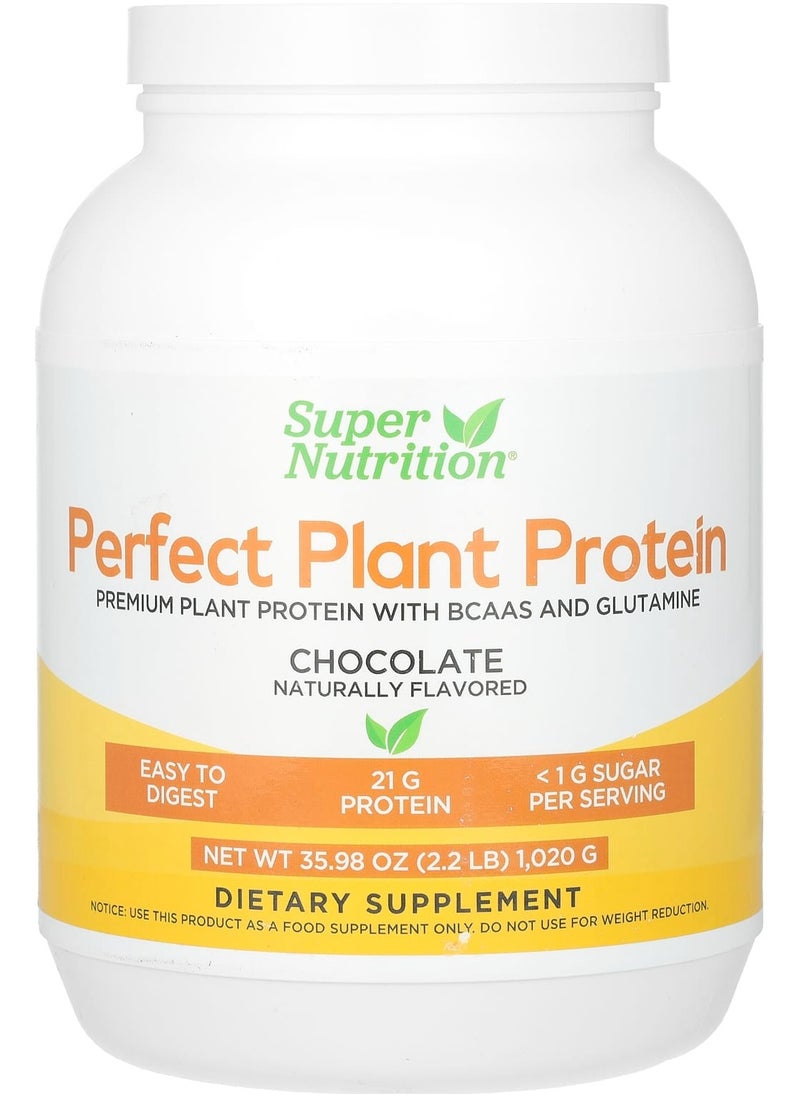 Super Nutrition Perfect Plant Protein, Chocolate, 2.2 lbs (1,020 g) 