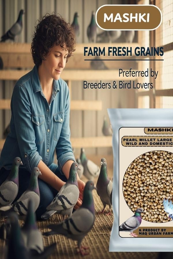 MASHKI Premium White Pearl Millet Bird Food, Natural Seeds for All Birds (0.18 KG) - Image 5