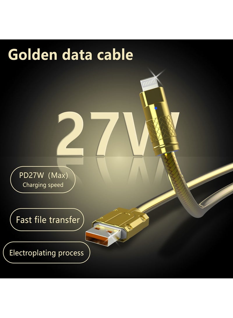 Astralxipher 2 M Golden Snake Pattern PD27W Fast Charging Cable - USB to Lightning for iPhone 11 12 13 14 Pro Max (Durable, High-Speed, 3A) | Gold Color | - Image 4
