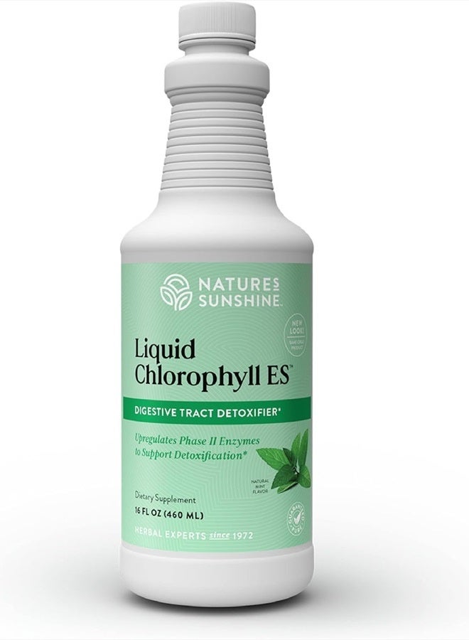 NATURE'S SUNSHINE Liquid Chlorophyll Extra Strength - Immunity Support, Detox & Cleanse, Chlorophyll Liquid Drops with Spearmint Oil, Natural Energy Boost, Internal Deodorant - 16 Fl Oz - Image 1
