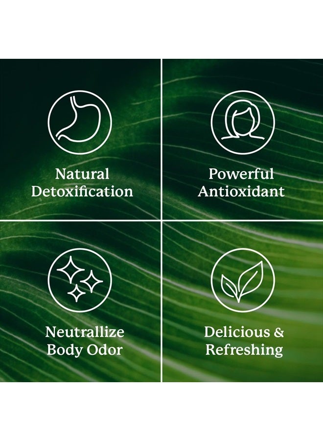 NATURE'S SUNSHINE Liquid Chlorophyll Extra Strength - Immunity Support, Detox & Cleanse, Chlorophyll Liquid Drops with Spearmint Oil, Natural Energy Boost, Internal Deodorant - 16 Fl Oz - Image 5