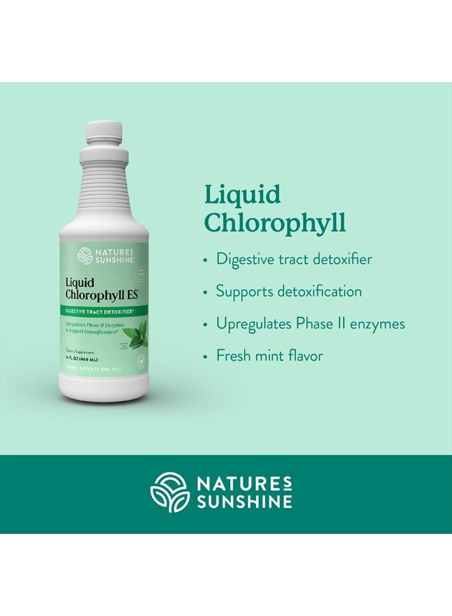 NATURE'S SUNSHINE Liquid Chlorophyll Extra Strength - Immunity Support, Detox & Cleanse, Chlorophyll Liquid Drops with Spearmint Oil, Natural Energy Boost, Internal Deodorant - 16 Fl Oz - Image 3