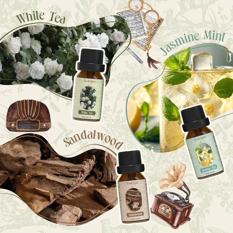 Soulorigin Hotel Fragrance Oils Set, Essential Oil Gift Set for Diffuser, Hotel Scent Diffuser Oil, Diffuser Scents Oil for Home, White Tea, Jasmine Mint, Sandalwood, Luxury Night, Seaside, Myway - Image 2