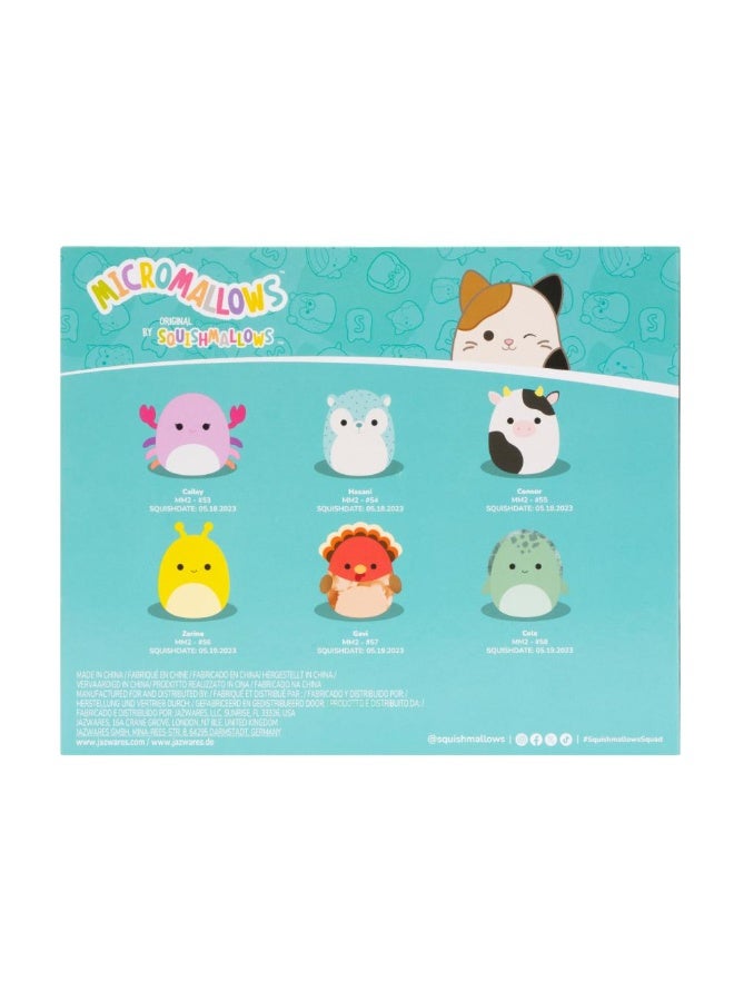 Squishmallows Micromallows Original Micromallows 6-Pack – Danny,Dane,Malcom,Lena,Leonard,Noah. - Image 3