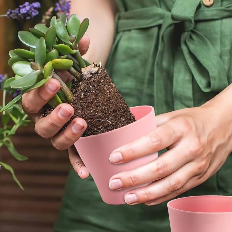 OALCQ 4 Inch Plant Pots 10 Pcs Small Flower Pots For Indoor Plant Pots Succulent Pots Small Plant Pots With Drainage Planters For Indoor Plants Nursery Pots Plastic Pots For Plants Herb Planter 5 Colors - Image 5
