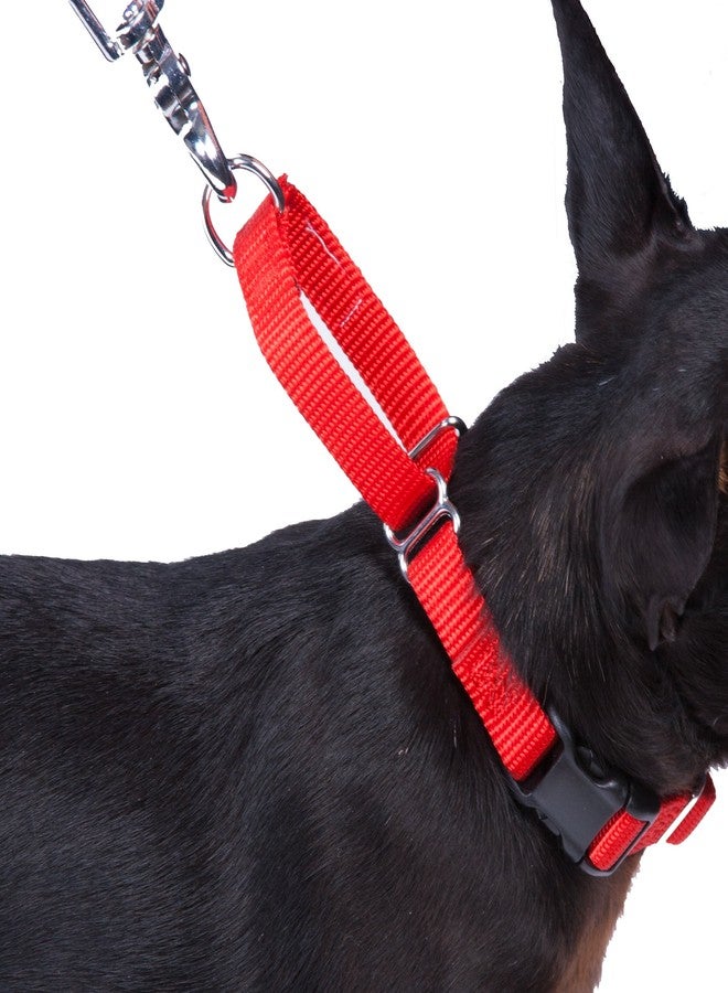 GOGO Pet Products 5/8-Inch Martingale Dog Collar, Small, Red - Image 3
