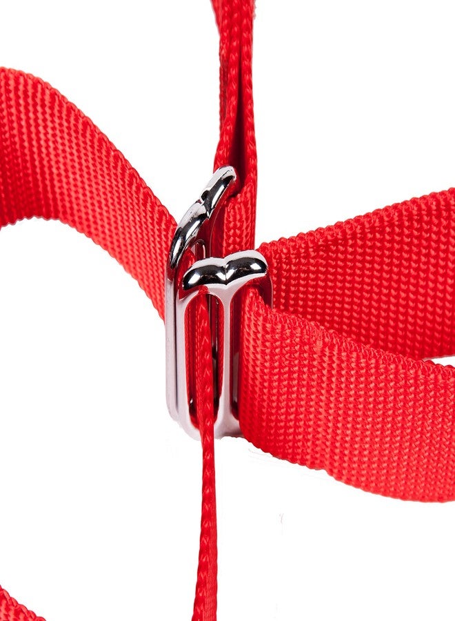 GOGO Pet Products 5/8-Inch Martingale Dog Collar, Small, Red - Image 4