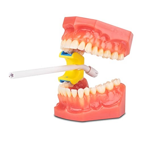 Practicon E-Prop Dental Mouth Prop, Autoclavable Bite Block, Holds Saliva Ejector Mouth Prop, Size Medium, 1 Pack - Image 2