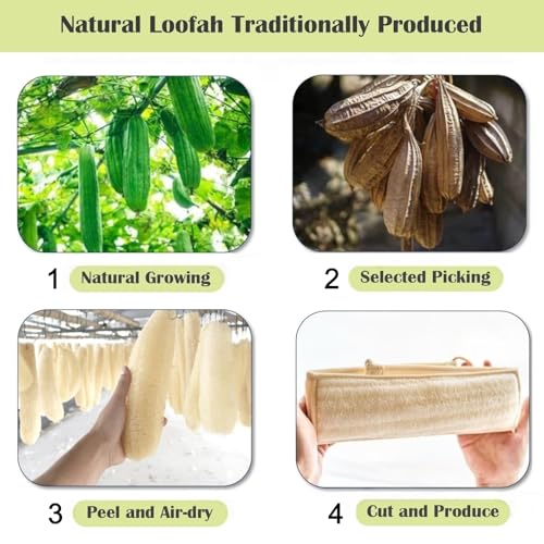Jopplim Natural Loofah Sponge Back Scrubber for Bath Shower, Exfoliating Body Scrubber, Shower Loofah Scrubber for Men and Women, Bath Sponge, Body Scrub, to Clean Your Body Deeply, Invigorate Your Skin - Image 2