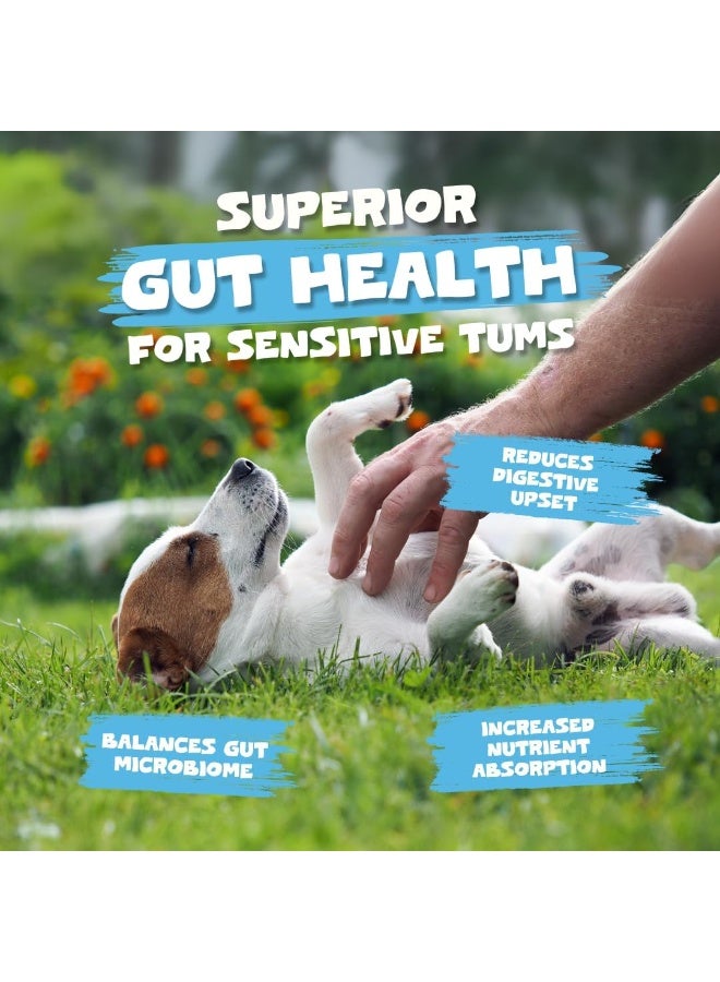 Pets Purest Goats Milk Powder for Dogs - 250g Whole Goats Milk Powder, Low-Lactose Nutrient-Rich Dog Milk for Hydration, Gut Health, Immunity and Improved Appetite in Pets of All Ages - Image 3