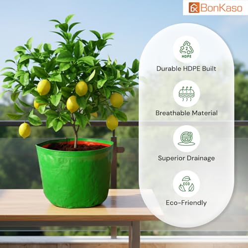 BonKaso Growbags 12 * 12 Pack of 5 Terrace/Kitchen Garden Vegetable Planting Pots, HDPE Fabric Leafy Fruits Growing Bag for All Vegetable Plants - Image 3