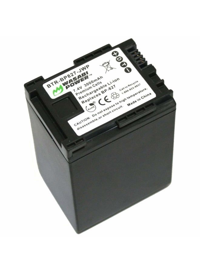 Wasabi Power Battery for Canon BP-827 (3000mAh) and Canon VIXIA HF G10, HF G20, HF M30, HF M31, HF M32, HF M40, HF M41, HF M300, HF M400, HF S10, HF S11, HF S20, HF S21, HF S30, HF S100, HF S200, HF10 - Image 1