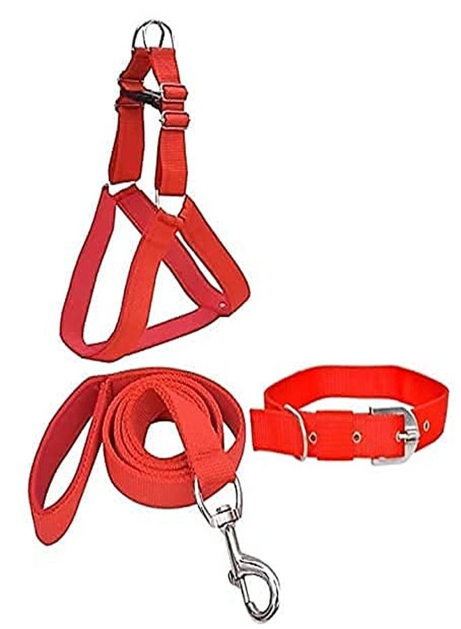 VIPCOLLECTION VIP Collection Dog Collar,Harness, and Leash Set-Adjustable,Durable and Stylish for All Breed Dogs Comfortable for Walking and Training (Small) - Image 3